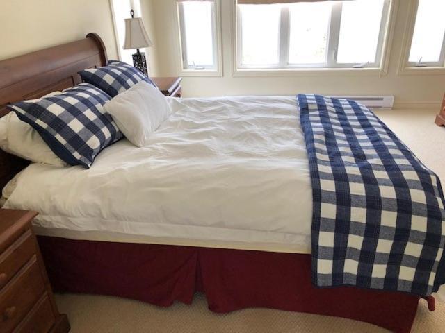 South Brook The Thoughtful Dog Bed & Breakfast المظهر الخارجي الصورة