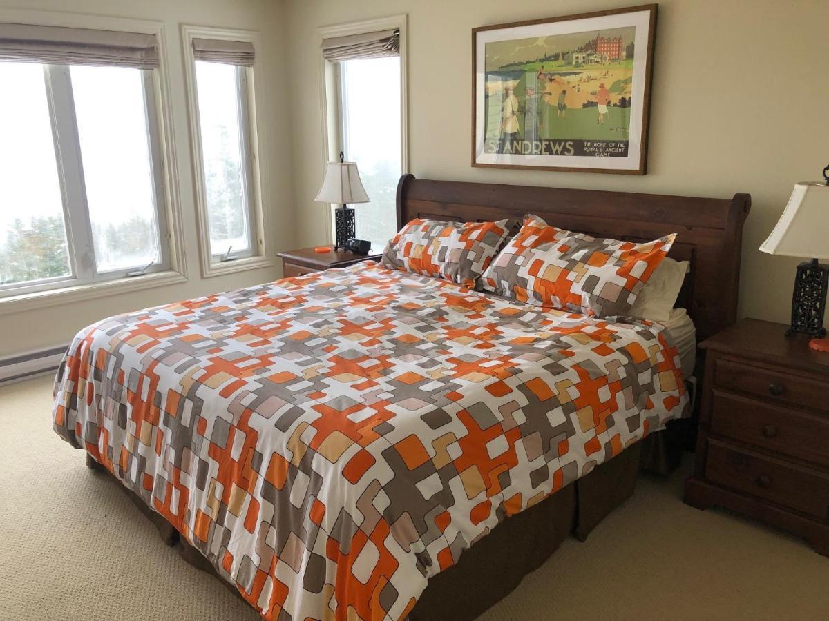 South Brook The Thoughtful Dog Bed & Breakfast المظهر الخارجي الصورة