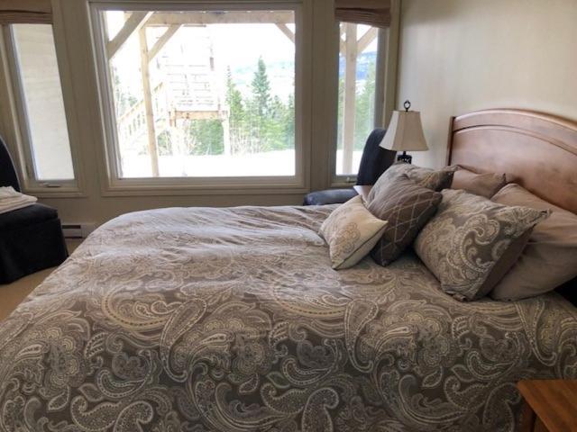 South Brook The Thoughtful Dog Bed & Breakfast المظهر الخارجي الصورة