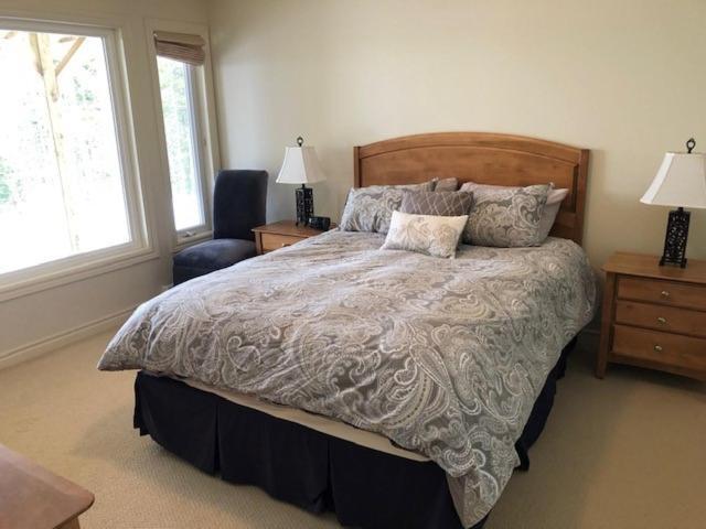 South Brook The Thoughtful Dog Bed & Breakfast المظهر الخارجي الصورة